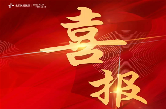 六合联盟美好集团蝉联“2021长三角城市群房地产公司品牌价值TOP10”